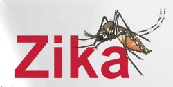 Những điều cần biết về Zika